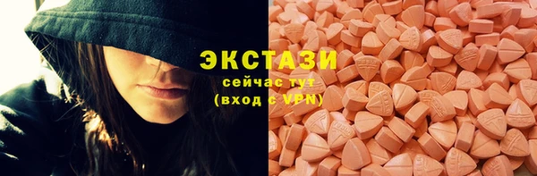 мдпв Дмитриев