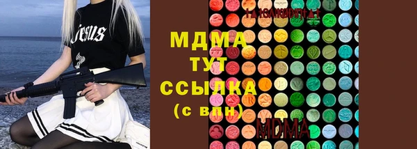 мдпв Дмитриев