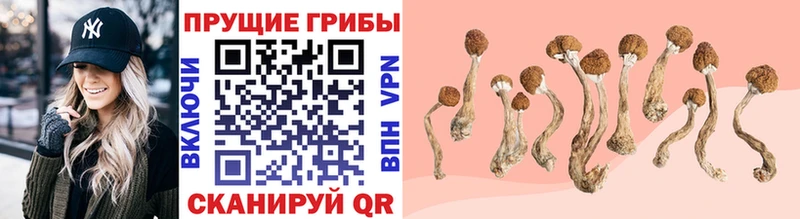 Псилоцибиновые грибы ЛСД Анива